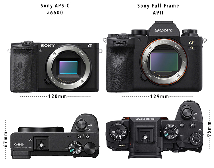 Comparing size difference of APS-C Sony A6600 and full-frame Sony A9II camera bodies