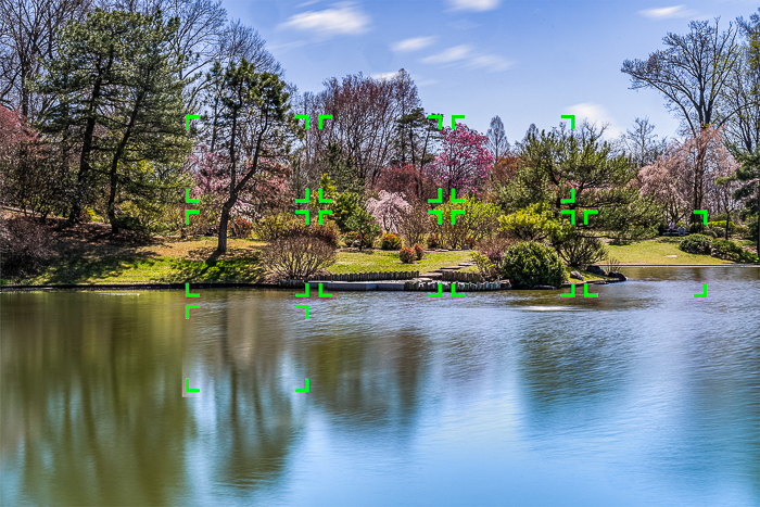 The focus points from a Sony mirrorless over a serene image of a lake and green foliage