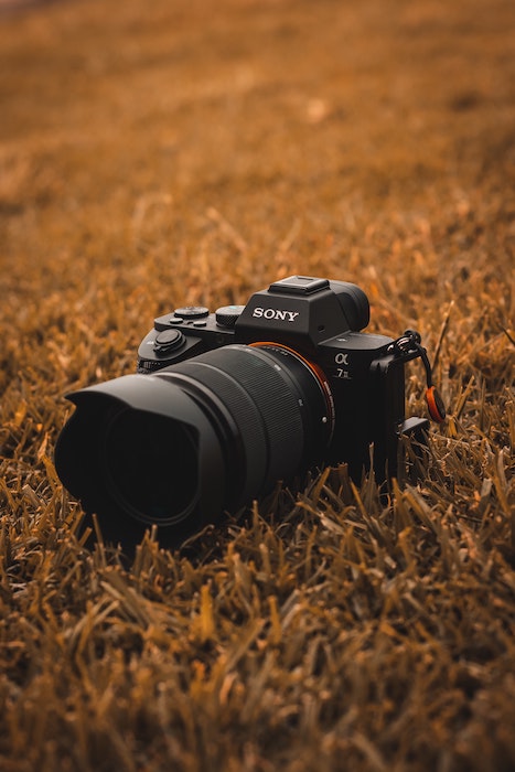 Sony brand camera and lens sitting in grass