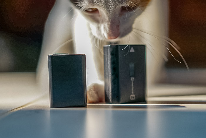 A cat with a smaller and larger Sony battery
