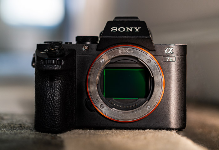 Sony mirrorless camera body and sensor