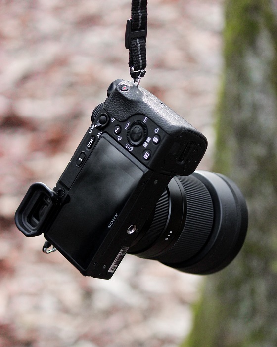 a mirrorless camera hangs by the strap in front of a blurry forest background