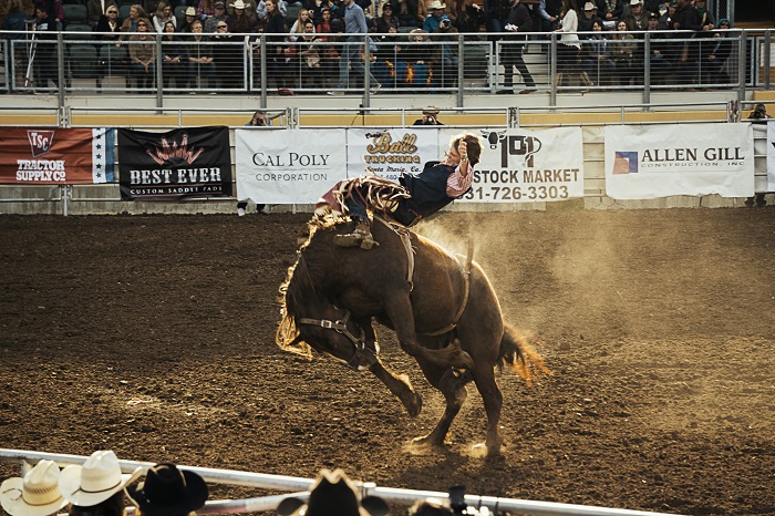 a cowboy holding onto a bucking bronco 