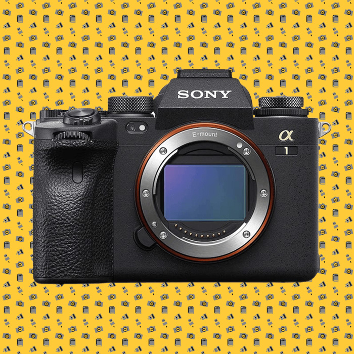 Sony a1 our best weather sealed camera choice