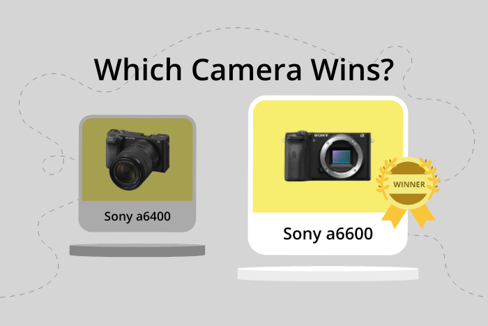 Sony a6400 vs Sony a6600 comparison image