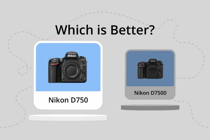 Nikon D750 vs D7500 camera comparison image