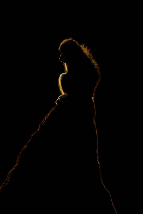 Picture of a chacma baboon