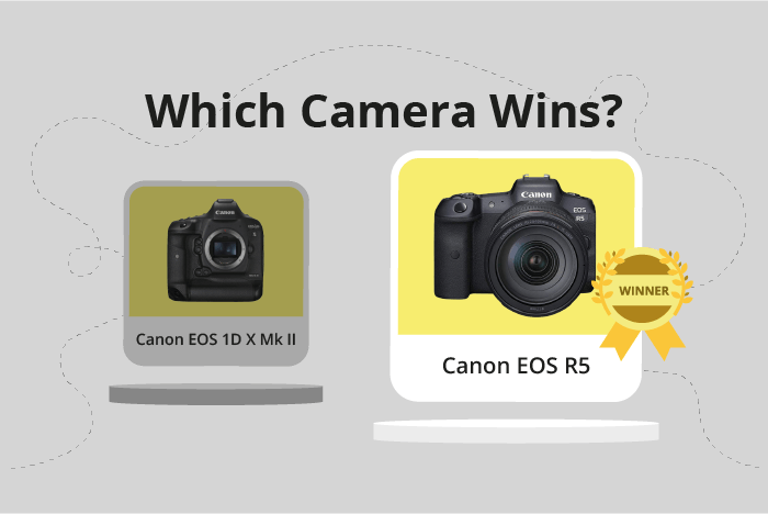 Canon EOS 1D X Mark II vs EOS R5 Comparison image.