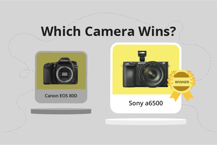 Canon EOS 80D vs Sony a6500 Comparison image.
