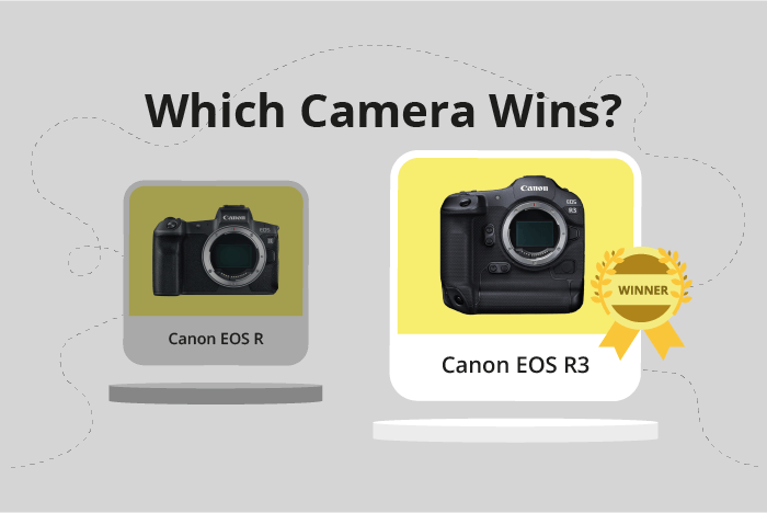 Canon EOS R vs EOS R3 Comparison image.