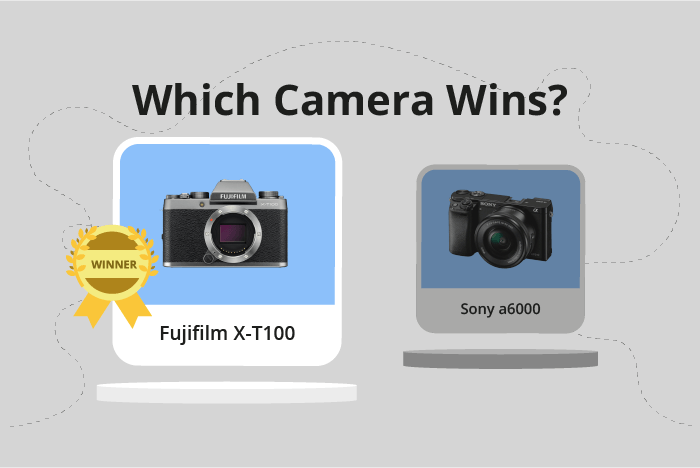 Fujifilm X-T100 vs Sony a6000 Comparison image.