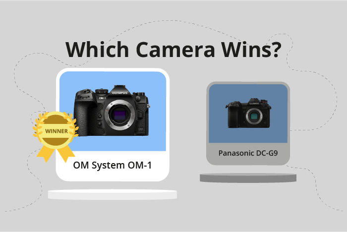 Olympus OM System OM-1 vs Panasonic Lumix DC-G9 Comparison image.
