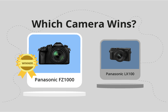 Panasonic Lumix DMC-FZ1000 vs Lumix DMC-LX100 Comparison image.