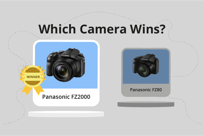 Panasonic Lumix DMC-FZ2000 / FZ2500 vs Lumix FZ80 / FZ82 Comparison image.