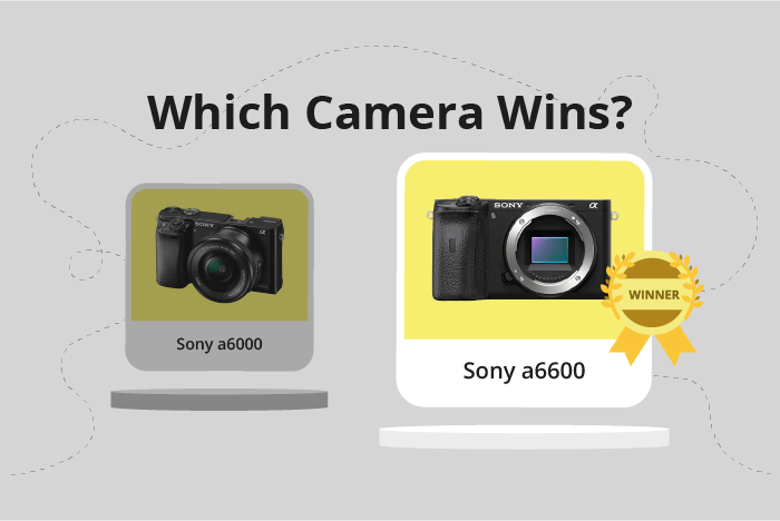 Sony a6000 vs a6600 Comparison image.