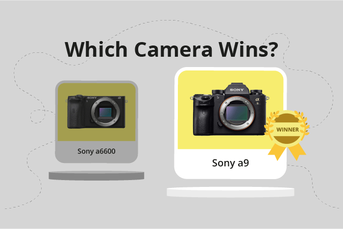 Sony a6600 vs a9 Comparison image.