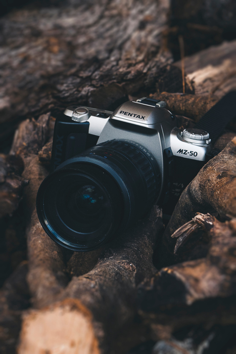  a Pentax camera nestled among cut down wood branches