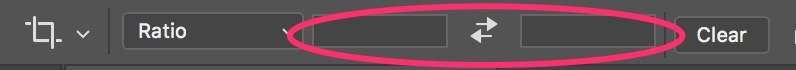 A screenshot close-up of the Crop tool's Ratio setting in Photoshop's top toolbar